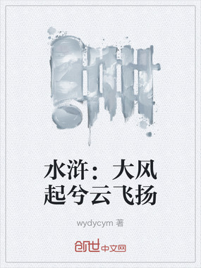 水浒：大风起兮云飞扬在线阅读