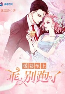 暖妻至上:乖,别跑了