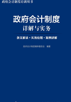 政府会计制度详解与实务：条文解读+实务应用+案例讲解在线阅读