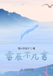 雪辰不凡言
