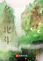 名高北斗在線閱讀