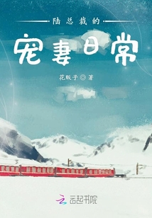 陸總裁的寵妻日常