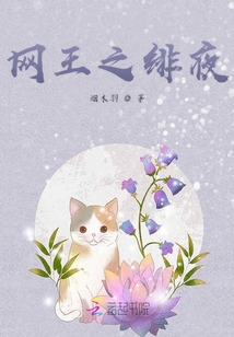 網(wǎng)王之緋夜