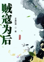 贼寇为后
