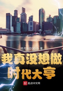我真沒想做時代大亨