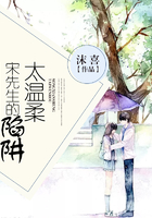 宋先生的陷阱太溫柔在線閱讀
