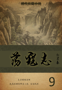 清代長篇小說:蕩寇志(9)