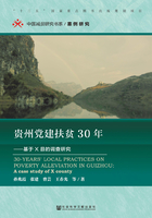 贵州党建扶贫30年：基于X县的调查研究在线阅读