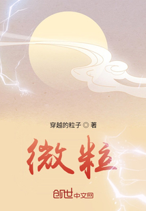 微粒