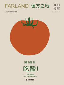 远方之地:吃酸!发酵塑造的地方文化与都市生活
