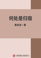 何處是歸宿在線閱讀