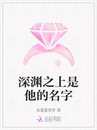 深渊之上是他的名字在线阅读
