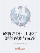 砼筑之路:土木生涯的逐梦与沉浮在线阅读