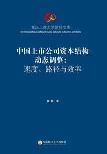 中國上市公司資本結構動態調整：速度、路徑與效率
