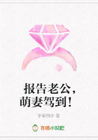 報(bào)告老公，萌妻駕到！在線閱讀