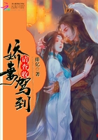 团宠娘子无法无天