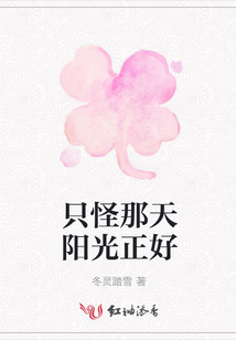 只怪那天陽光正好
