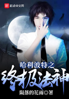 哈利波特之終極法神在線閱讀