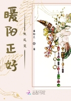 暖陽正好微風(fēng)笑在線閱讀