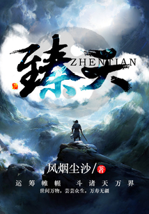 臻天