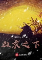 血衣之下在线阅读