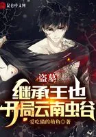 盗墓:继承王也,开局云南虫谷在线阅读