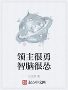 領主很勇智腦很慫在線閱讀