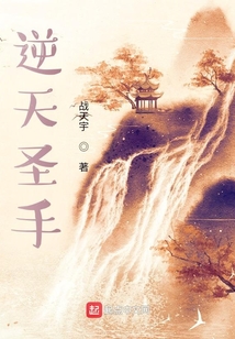 逆天圣手