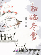初臨冬雪在線閱讀