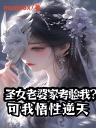 圣女老婆家考验我？可我悟性逆天