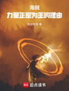 海贼:力量正是为王的理由!在线阅读