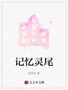 记忆灵尾在线阅读