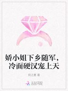 娇小姐下乡随军,冷面硬汉宠上天在线阅读