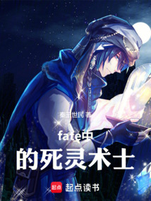 fate中的死灵术士在线阅读