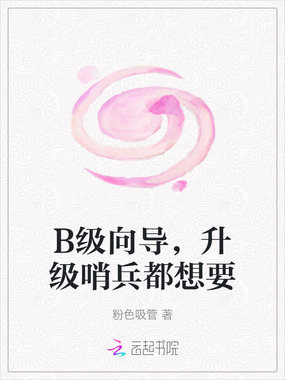 B级向导,升级哨兵都想要在线阅读