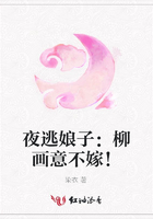 夜逃娘子：柳畫意不嫁！在線閱讀