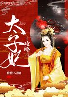 太子妃攻略在线阅读