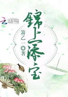 錦上添寶在線閱讀
