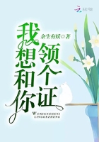 我想和你領(lǐng)個證在線閱讀