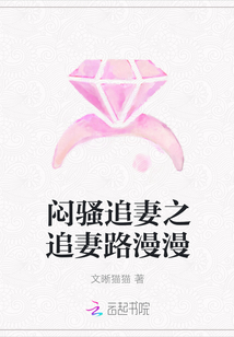 悶騷追妻之追妻路漫漫