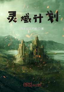 靈域計(jì)劃