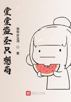 堂堂盗圣只想苟在线阅读