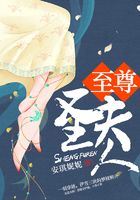 至尊圣夫人在線閱讀