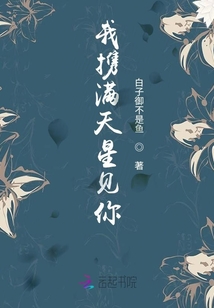 我攜滿天星見你