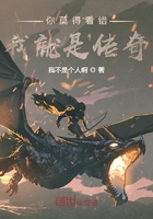 你莫得看错，我就是传奇在线阅读