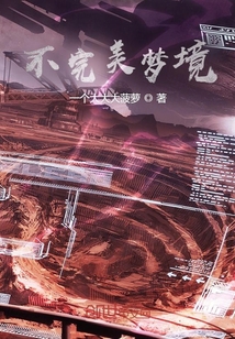 不完美夢境