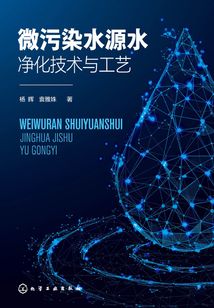 微污染水源水凈化技術(shù)與工藝