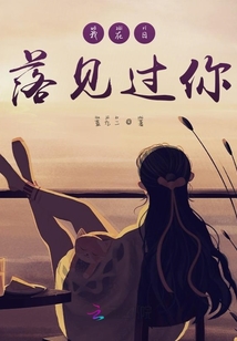 我在日落見過你