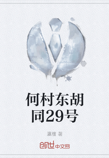 何村東胡同29號