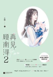 再見,顧南潯2